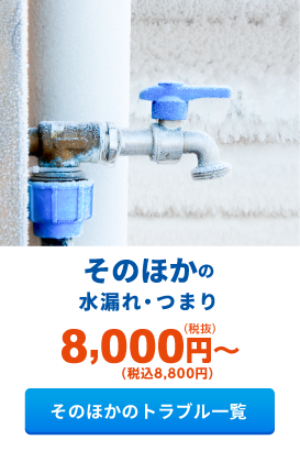 そのほかの水漏れ・つまり